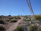 photo thumbnail #3