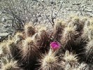 photo thumbnail #2