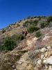 photo thumbnail #10