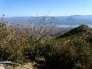 photo thumbnail #13