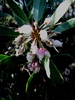 photo thumbnail #15