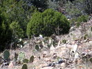 photo thumbnail #5