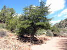 photo thumbnail #10
