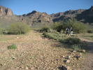 photo thumbnail #2
