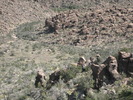 photo thumbnail #12