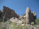 recent photo