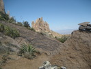 recent photo