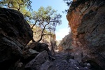 photo thumbnail #12