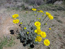 photo thumbnail #15