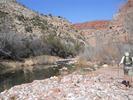photo thumbnail #11