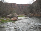 recent photo