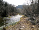 recent photo