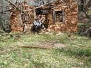 recent photo