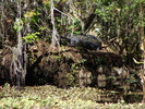 photo thumbnail #12