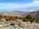 photo thumbnail #6