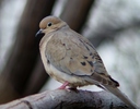 Featured Full Photo