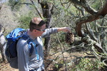 photo thumbnail #9