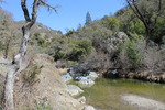 photo thumbnail #13