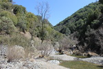 photo thumbnail #14