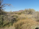 photo thumbnail #1