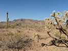 photo thumbnail #3