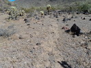 photo thumbnail #4