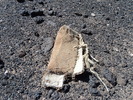 photo thumbnail #14