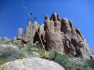 photo thumbnail #4