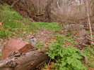 photo thumbnail #2
