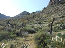 photo thumbnail #3