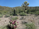 photo thumbnail #5