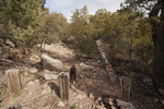 photo thumbnail #4