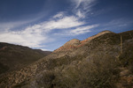 photo thumbnail #14