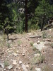 photo thumbnail #8