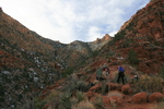 photo thumbnail #6