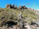 photo thumbnail #7