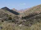 photo thumbnail #1