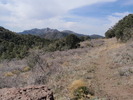 photo thumbnail #4