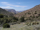 photo thumbnail #8
