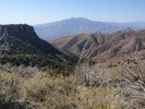 photo thumbnail #10