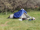 photo thumbnail #15