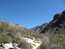 photo thumbnail #1