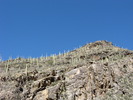 photo thumbnail #2