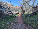 photo thumbnail #5