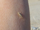 photo thumbnail #7