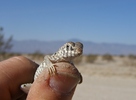 photo thumbnail #6