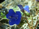 photo thumbnail #14