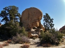 photo thumbnail #13