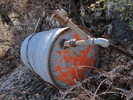 photo thumbnail #7