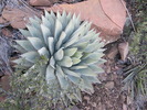 photo thumbnail #11